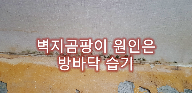  방바닥 습기 고층 아파트 벽지 곰팡이 유발. 방바닥 습기 방바닥 결로 원인과 해결방안은?광명시 철산동 아파트 벽지 곰팡이 제거 후 재발방지 단열벽지 시공