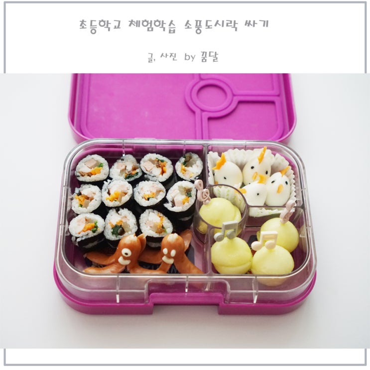 초등학생 체험학습 소풍 도시락 싸기 초등학생 체험학습 소풍 도시락 싸기