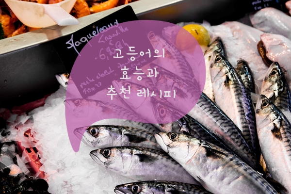  등푸른 생선,고등어의 효능과 추천 레시피까지~