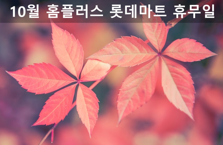  10월 홈플러스 휴무일 롯데마트 휴무일 알아보고 챙겨요