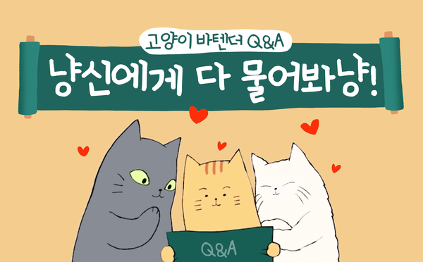  [고양이 바텐더] 냥트리오에게 다 물어봐냥!