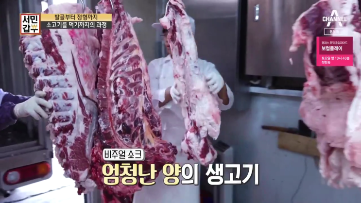  [채널A 서민갑부 248회] 서민들의 반란...