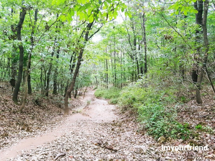 파주 심학산 정상전망대 등산로 둘레길 약천사