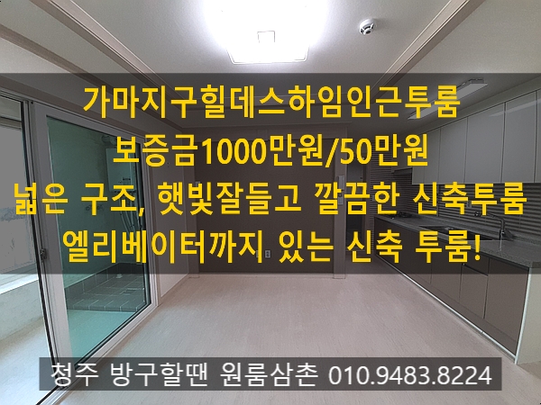  청주가마지구투룸월세 힐데스하임인근투룸 신축 깨끗하고 조망 채광너무좋은투룸