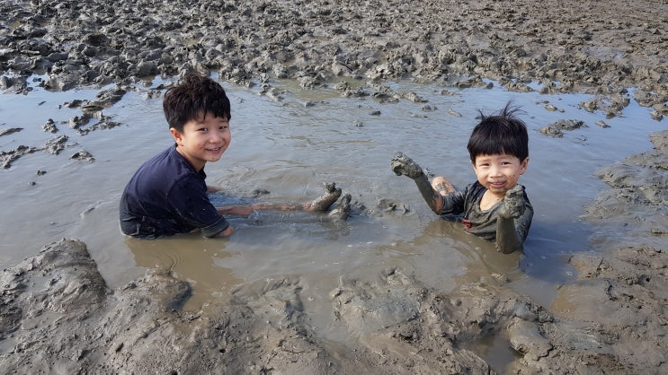  강화 자연체험농장 갯벌체험 최고!