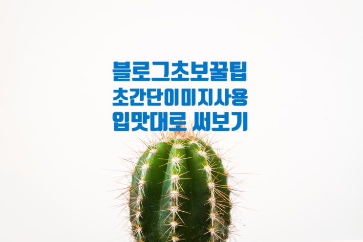  네이버 블로그 포스팅 이미지 업로드 초간단 노하우 초보만 보세요! 심플한  사용방법 입맛대로 쓰세요! 사진포스팅1