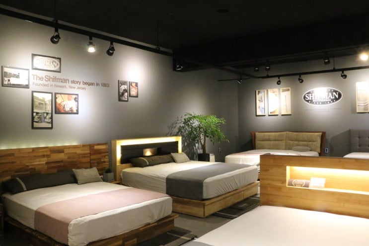  용인 침대 매트리스 수입 매트리스 WMDK 매장에서 보기