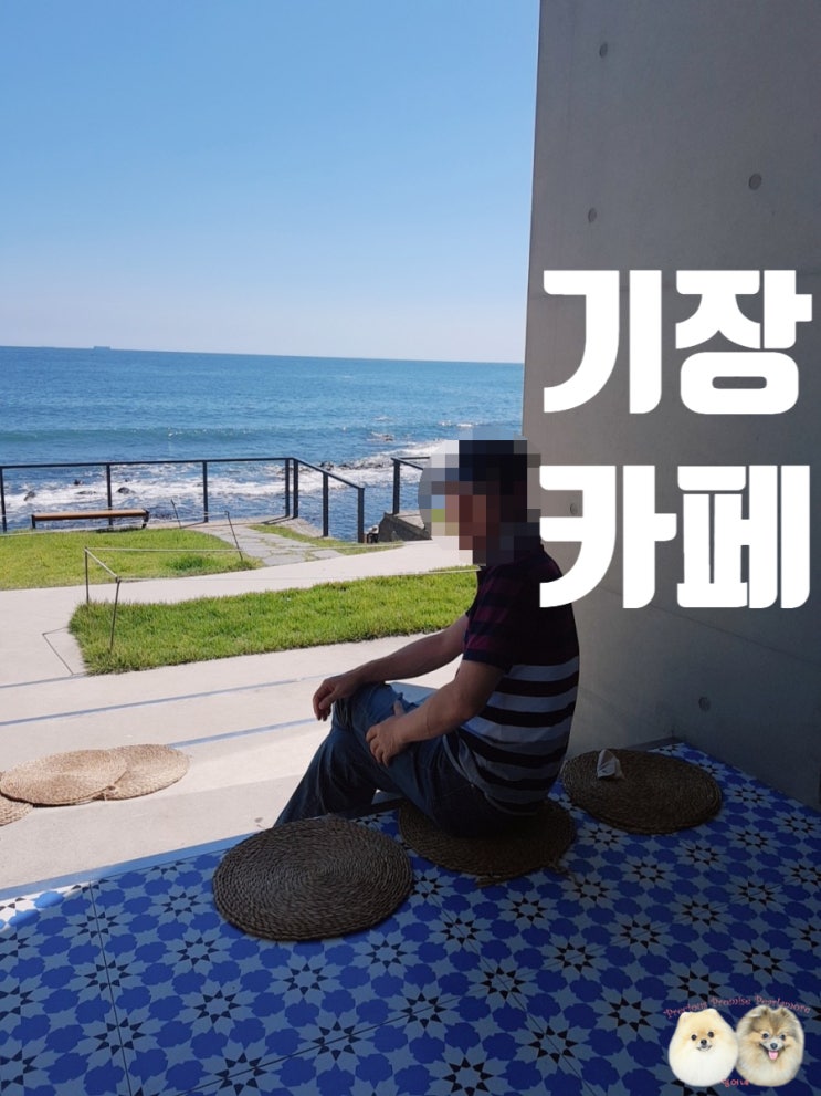  기장 카페 바다뷰가 좋아 매혹적인곳