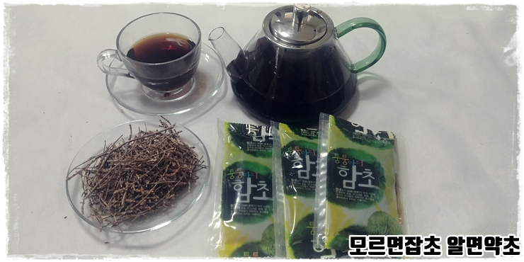  마시는함초 함초진액 만드는과정 및 먹는법