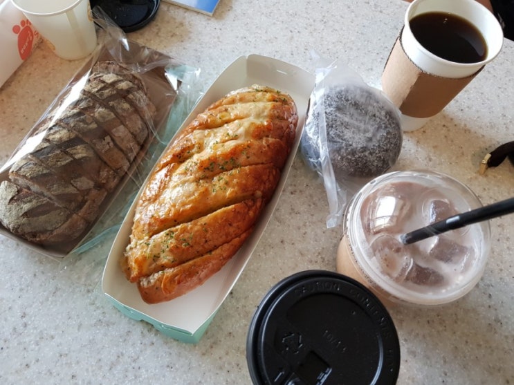  제주도 여행 둘째날