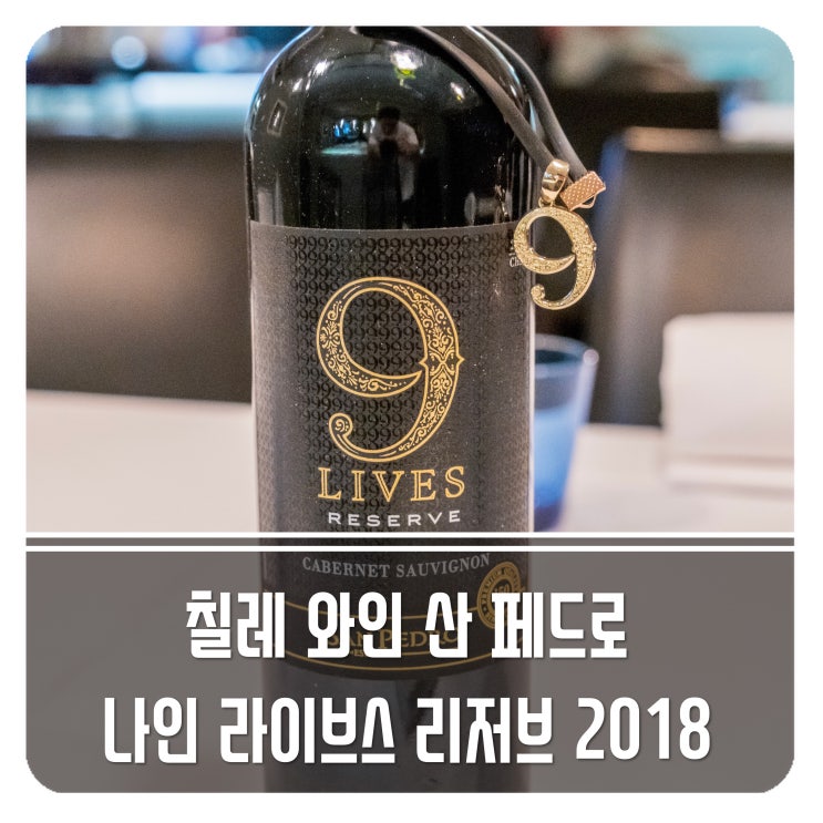  홈술 추천 나인 라이브스 리저브 데일리와인으로 굿!