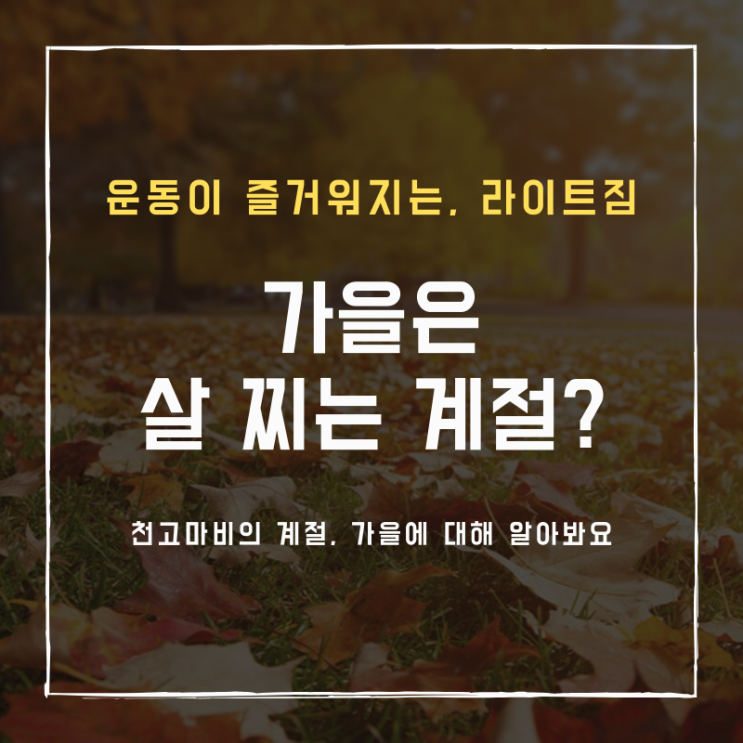  [방이역 헬스] 가을은 왜 살찌는 계절이라 불릴까요!?