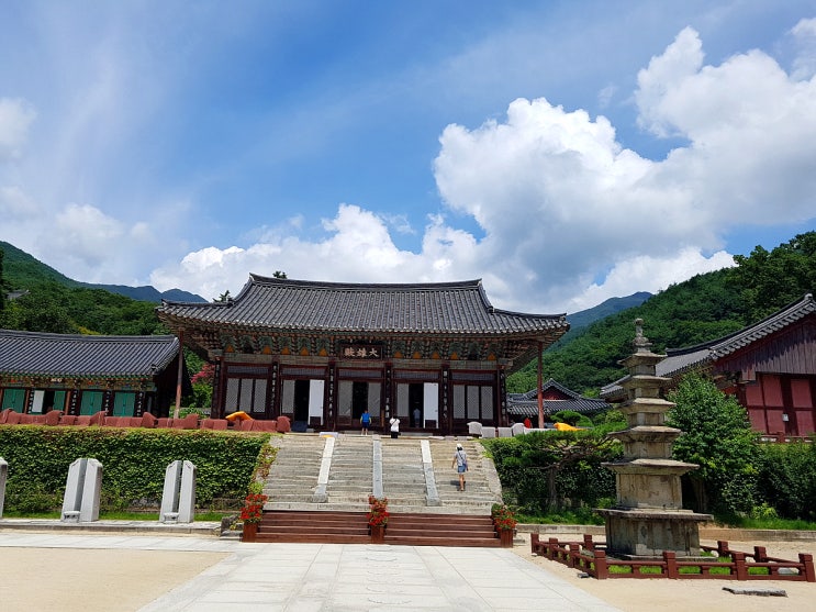  [구례] 화엄사상의 성지 화엄사 탐방/ 화엄사 버스 시간표