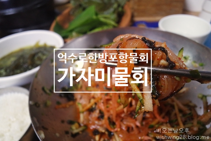  안락동 서원시장 억수로한방포항물회 가자미 물회