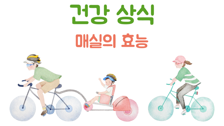  매실의 효능