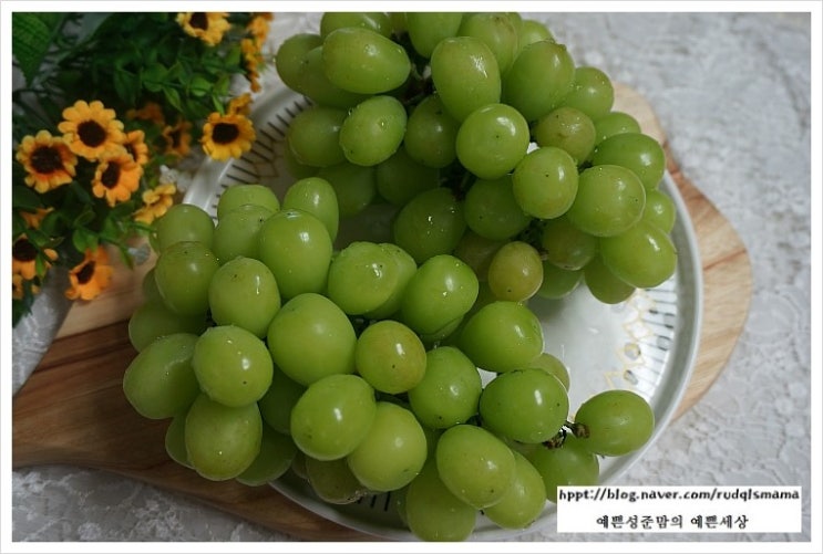  저탄소 & GAP농산물 샤인머스켓 맛보았어요 - 옥토에서 자란 맛있는 대한포도