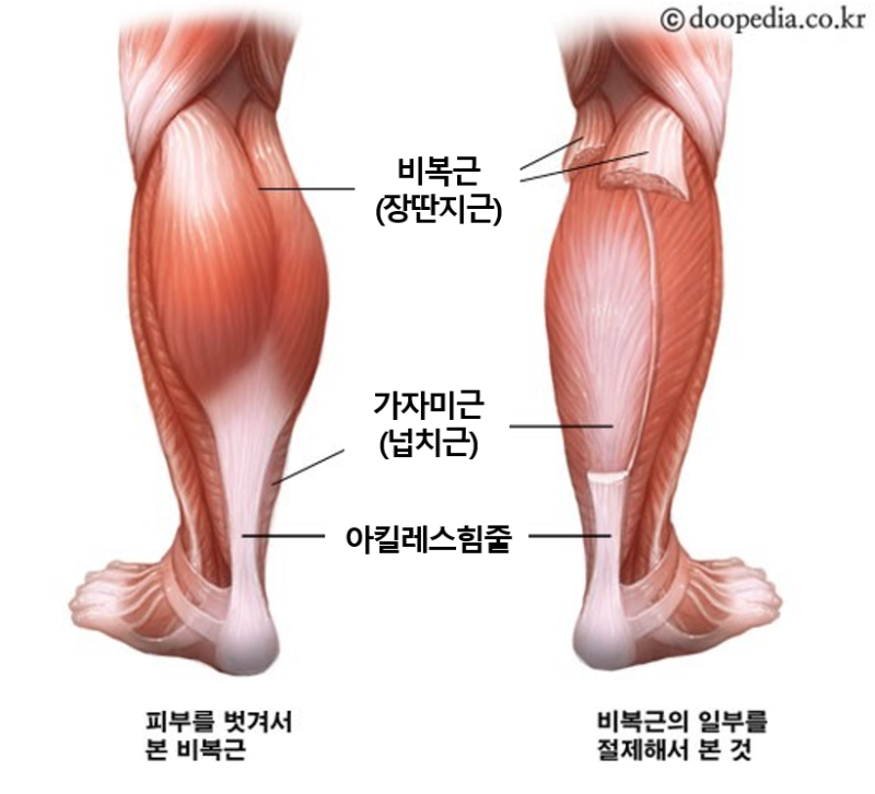 요가링:: 멜킨 마사지볼 종아리근육 뭉침 해소 및 홈트레이닝 기록 4