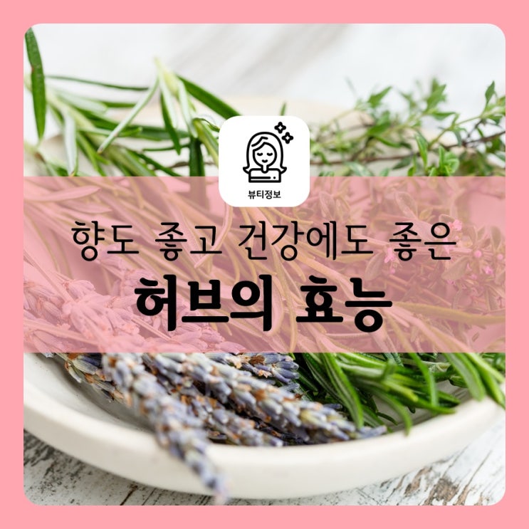  향도 좋고 건강에도 좋은 허브의 효능