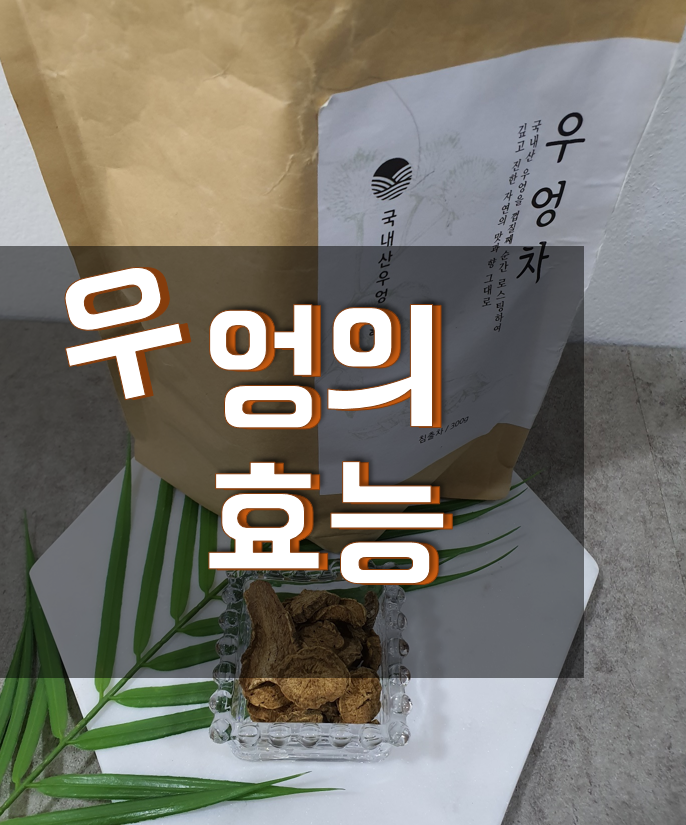 우엉의 효능, 볶은 것이라 더욱 좋아요!