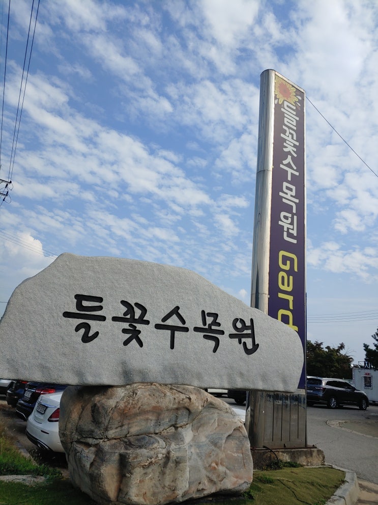  주말 나들이 슈퍼맨이돌아왔다에 나왔던 들꽃수목원 다녀왔어요.