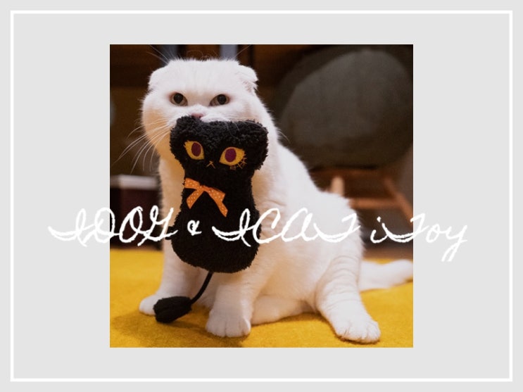  iCAT iTOY 고양이장난감 바스락 캣닢인형 할로윈 #캣토이