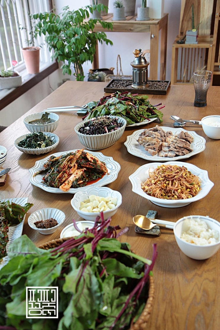  콜라비나물 태어나서 처음 맛본 분홍색으로 변하는 콜라비비빔밥 무청김치 만드는법