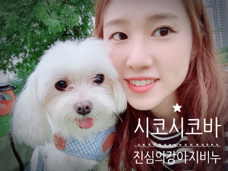  강아지 천연샴푸 비누바 추천 EWG ALL 1등급 시코시코바