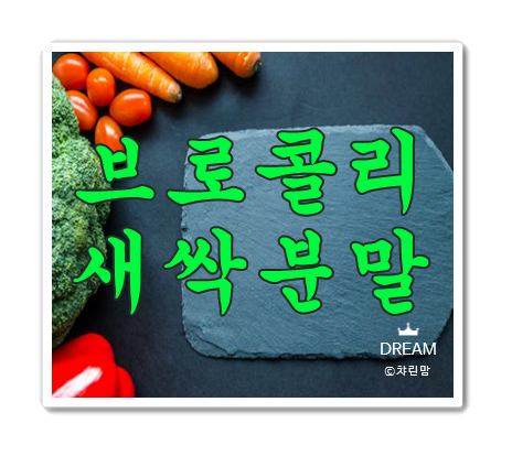  브로콜리 새싹분말 효능과 부작용, 섭취방법, 주스, 영양성분 몽땅 알려드릴게요