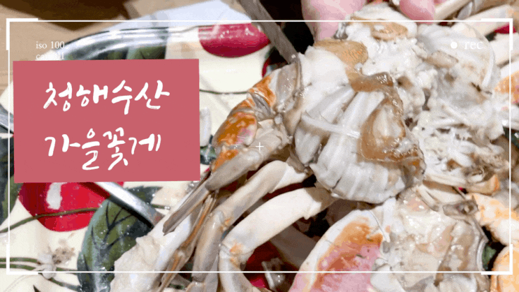  서울 송파구 : 가락시상 청해수산 말도 안 되게 꽉 찬 꽃게 !