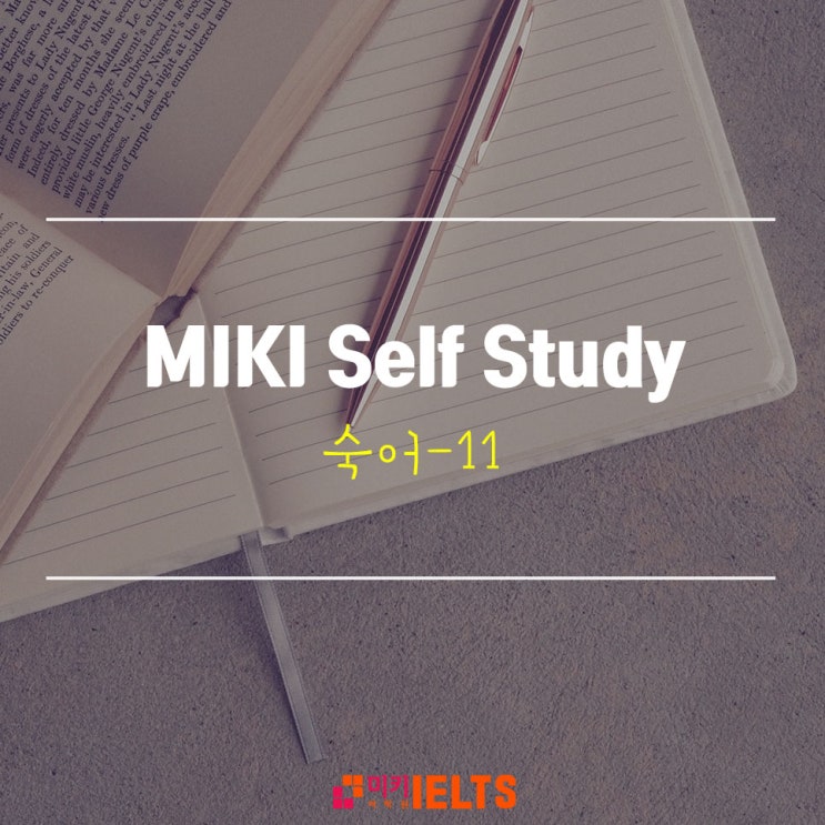  [IELTS Study] 아이엘츠 숙어 공부 11탄!