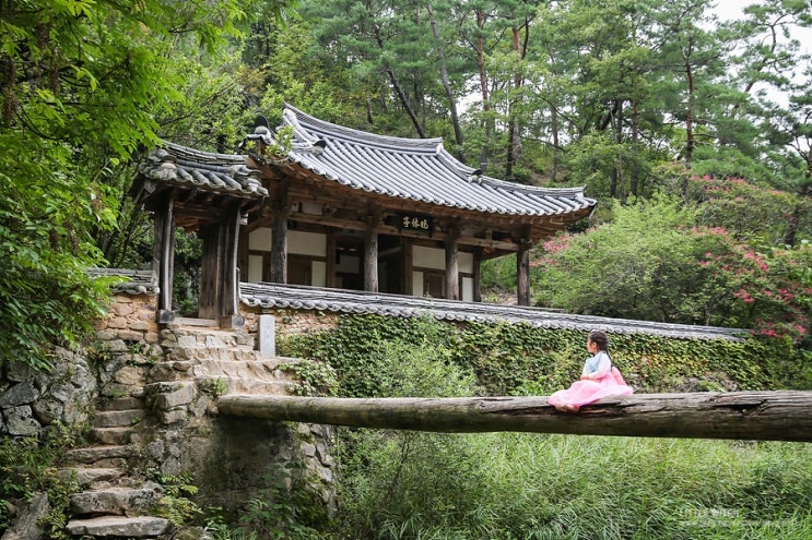  [안동 만휴정] 외나무다리를 지나 만나는 호젓한 정자, 미스터션샤인촬영지, 외나무다리, 안동여행