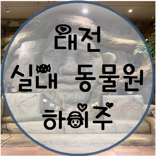 [ 대전 키즈카페 ] 대전 실내 동물원 하이주 솔직한 후기 및 할인 팁~!