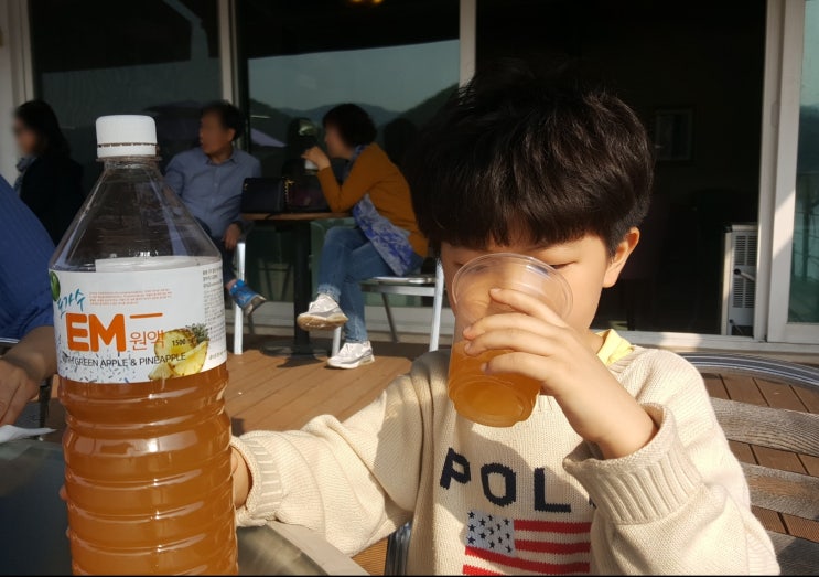  면역력 높이기 혹시 떨어지면 이런 음식을 드세요