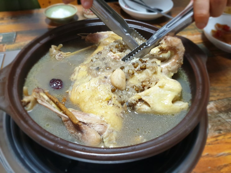  청송 맛집 고민말고 소나무식당으로