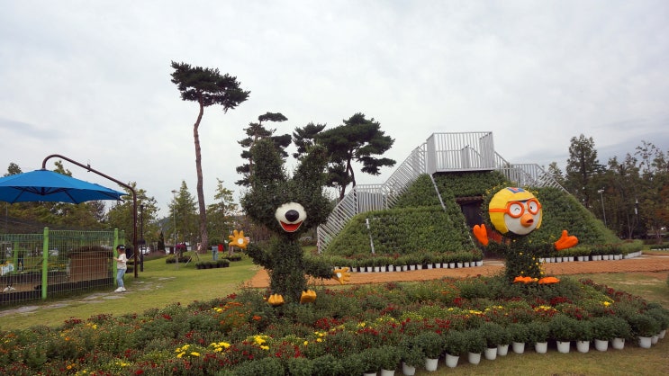  2019 유성국화축제 얼마안남았어요!!!