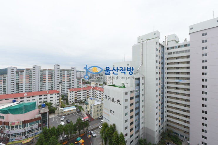  #무거동 선경아파트 84 매매 또는 전월세 #무거동 신복초등학교앞 울산대인근 선경아파트 매매