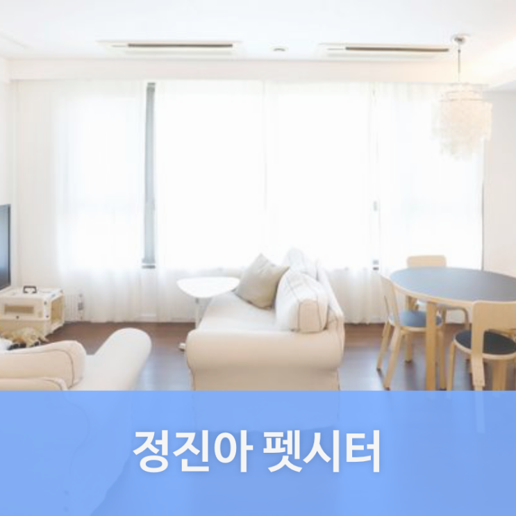  용산구 문배동 펫시터 정진아님을 소개합니다. | 문배동 애견호텔, 애견유치원, 강아지유치원, 강아지호텔 찾는다면 펫플래닛