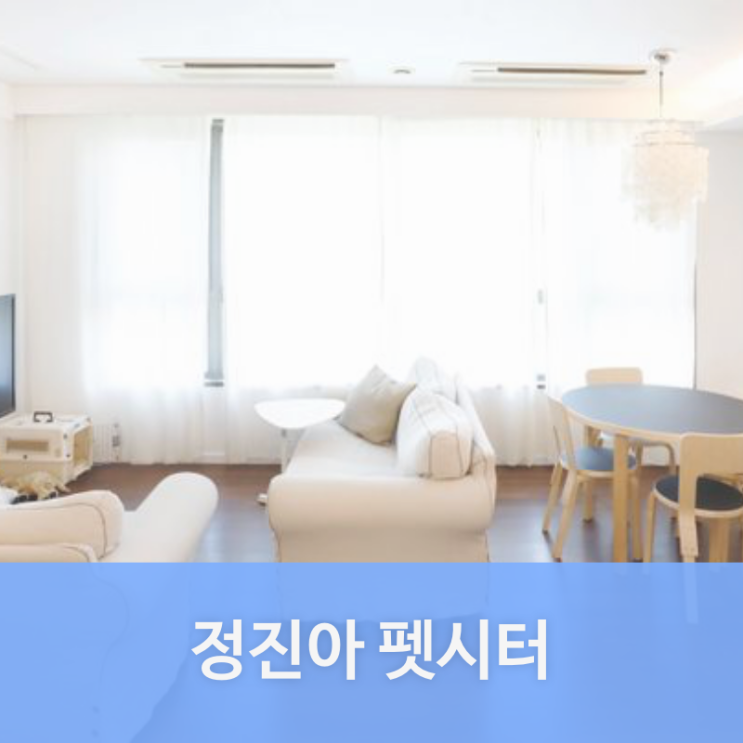 용산구 문배동 펫시터 정진아님을 소개합니다. | 문배동 애견호텔, 애견유치원, 강아지유치원, 강아지호텔 찾는다면 펫플래닛