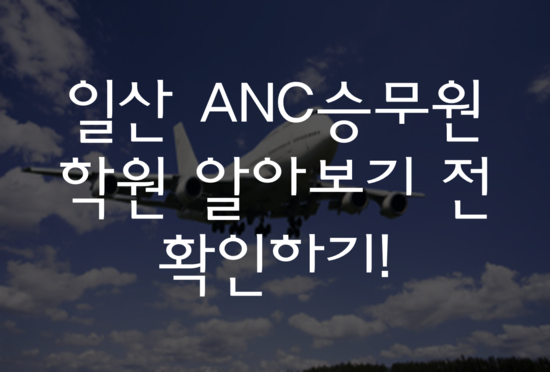  일산 ANC승무원학원 알아보기 전 확인하기!