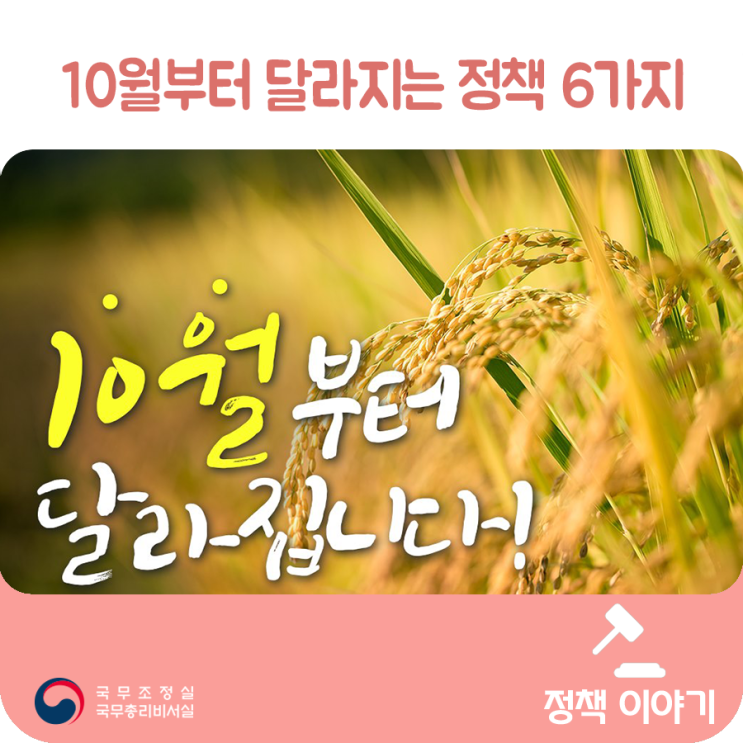 10월부터 달라지는 정책 6가지- 행복주택 3차 입주자 모집 / 청년구직활동지원금 개편 /  실업급여 지급액 및 지급기간 확대 외 3