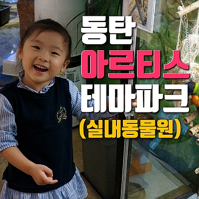  동탄 아르티스 테마파크의 모든 것(실내 동물원,먹이주기체험,가볼만한 곳)