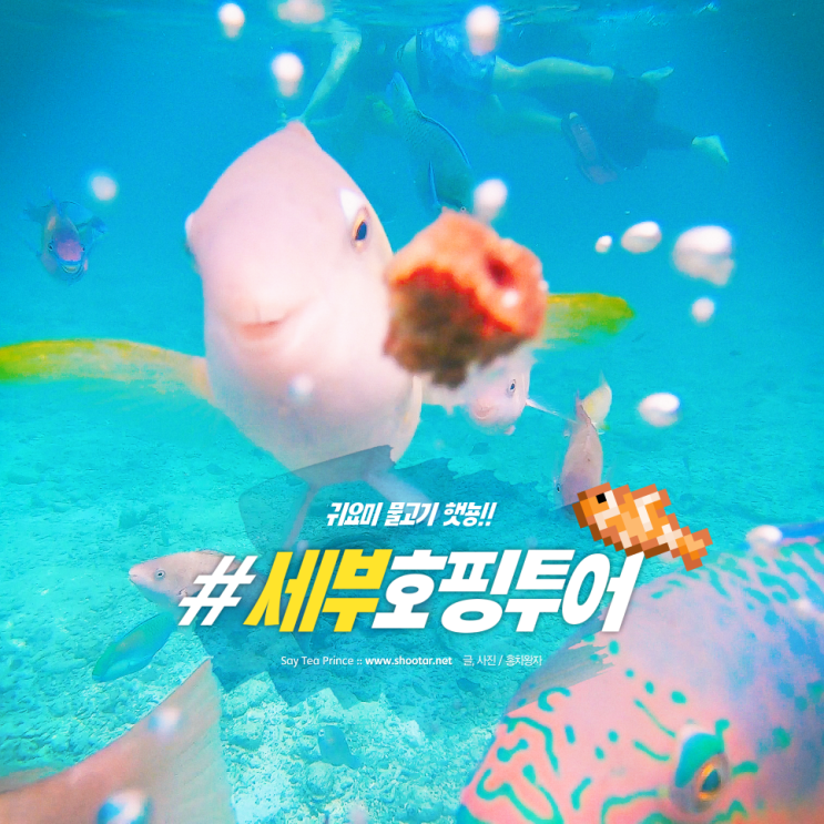  세부 호핑투어, 열대어 천국! 시원한 마사지까지~