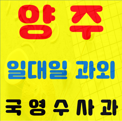  양주시 중등국어과외선생님 광사동 덕정동 고등영어과외수업 같이해요