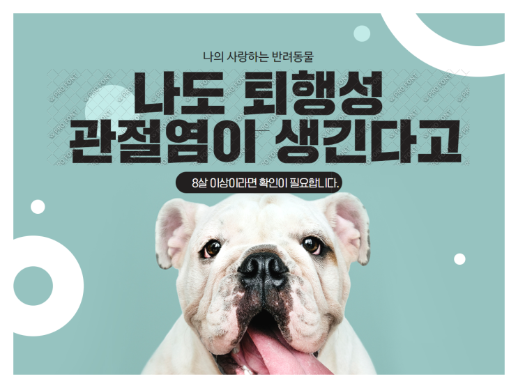  강아지 퇴행성 관절염