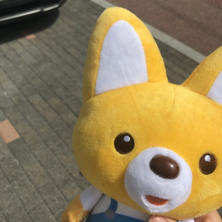  9월의 날들