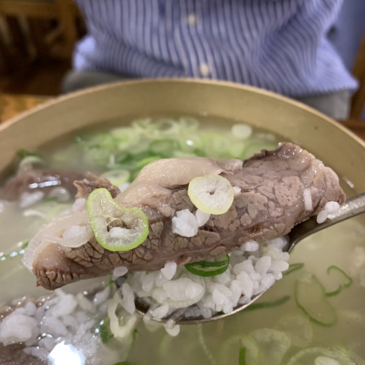  삼성동 코엑스 맛집 80년전통 한우곰탕 맛집 '하동관'