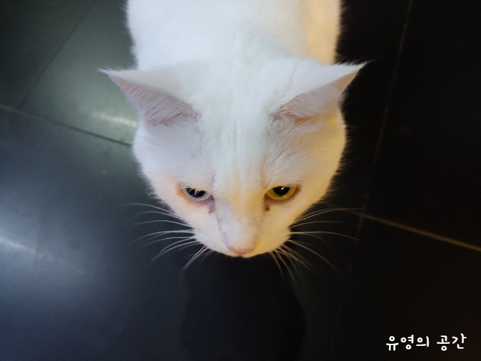  요즘은 이렇게 살고 있다. feat 어떻게 벌써 가을이니