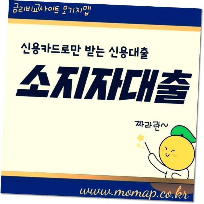  신용카드소지자대출 비슷한 조건의 상품들