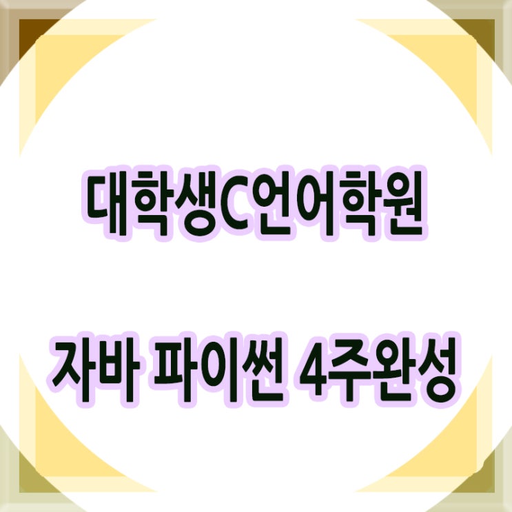  대학생C언어 파이썬 자바 공부 4주완성으로 전공대비 끝내자