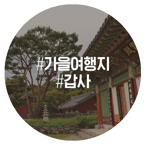  가을여행주간 끝났다고 여행이 빠지면 섭하지!